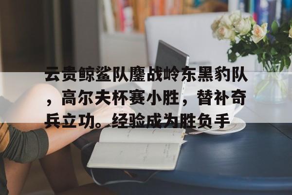 爱游戏体育-云贵鲸鲨队鏖战岭东黑豹队，高尔夫杯赛小胜，替补奇兵立功。经验成为胜负手